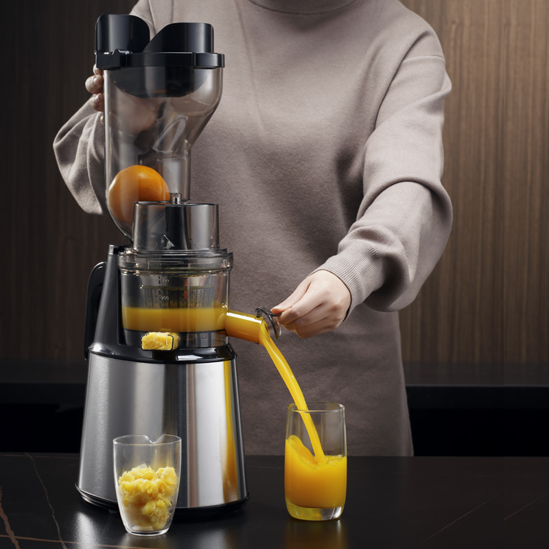 Extracteur de jus de fruits et - Electric Slow Juicer Cold Press avis et prix